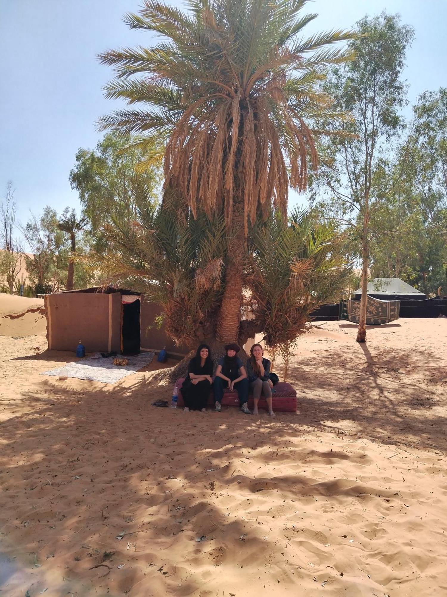 Luxury tent Oasis Desert Camp Obira