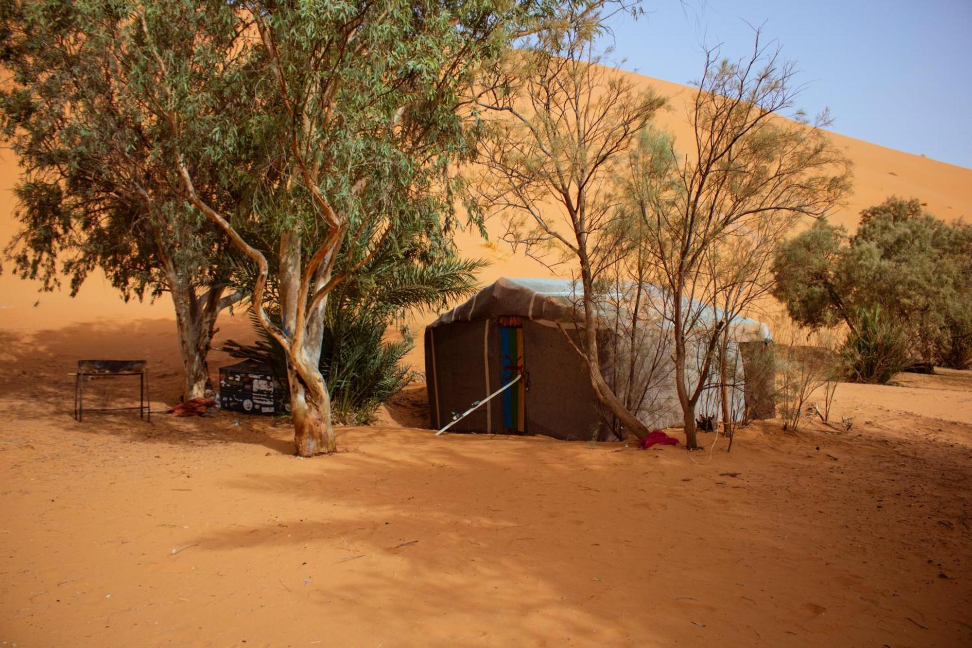 Oasis Desert Camp Obira Luxury tent