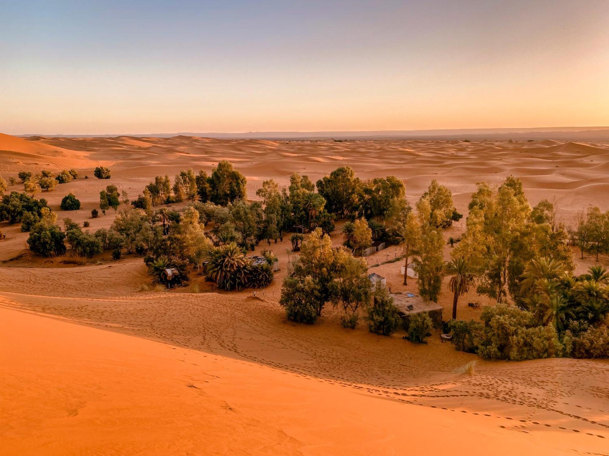Oasis Desert Camp Obira *